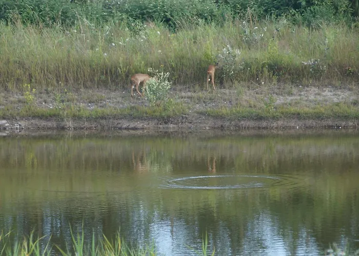 Timeout Ostsee * Olpenitz
